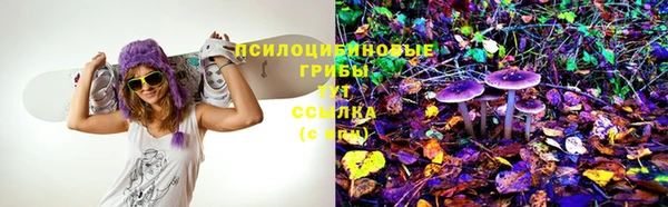 альфа пвп Белокуриха